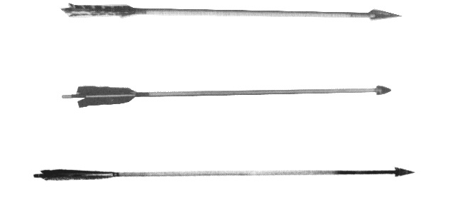 Examples of North American arrows