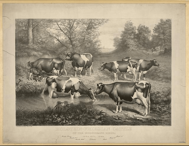 BrookbankHerdLibraryofCongress--02333r jpg (JPEG Image, 640 × 494 pixels)