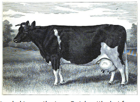 Screenshot_2019-06-07 Thomas B Wales and The Brookbank Herd