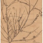 Problems in Mapping Iowa’s Native Nations